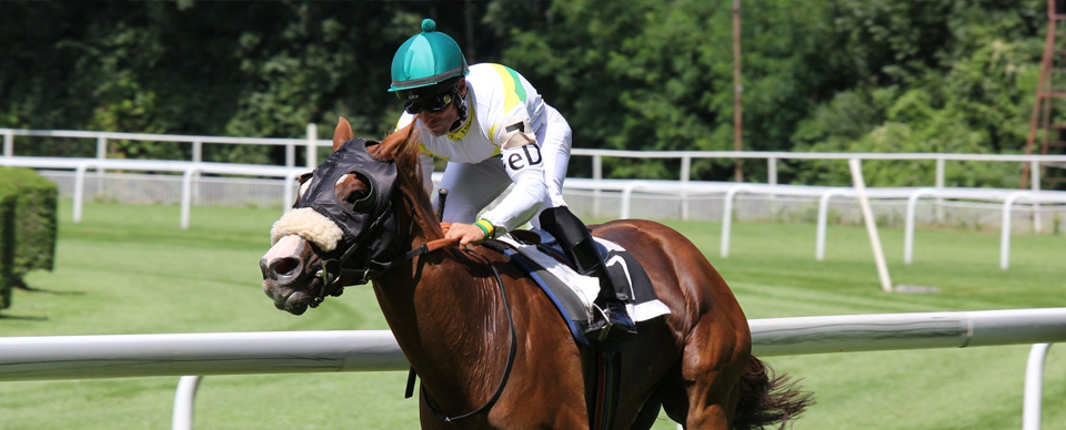 日本で合法な4種類のスポーツ賭博 投稿画像 競馬 競馬に乗って男 - 日本で合法な4種類のスポーツ賭博